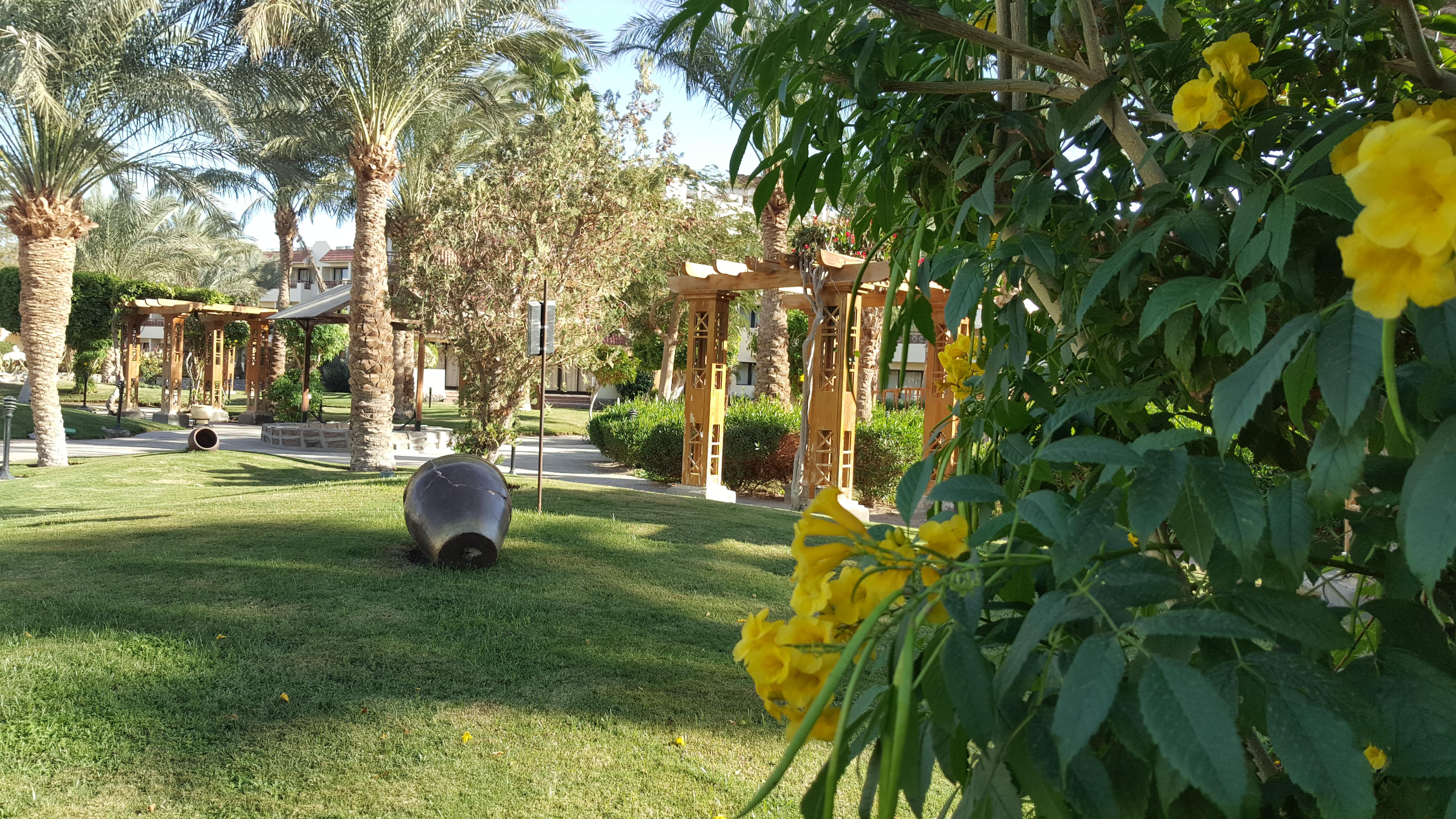 Jaz Elite Casa Del Mar Курортный комплекс 5*